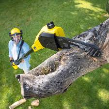 Best Aeration Services  in Holtville, CA